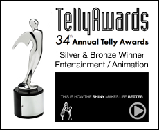  34th Telly awards 2013 why we do this work testimony