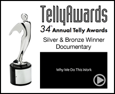  34th Telly awards 2013 how shiny makes life better