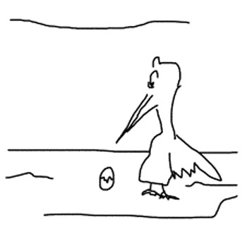 duck