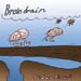 braindrain