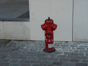 19image6