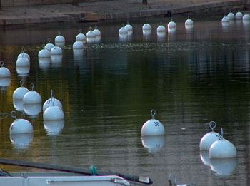 40canal