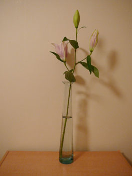 58lilies