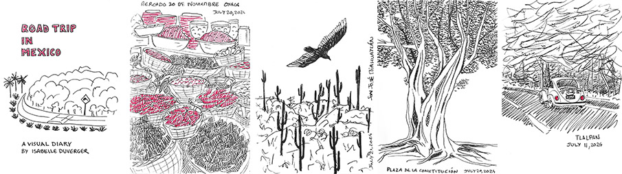 Road Trip in Mexico illustrated book Road Trip in Mexico illustrated book