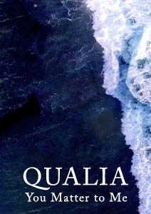 Qualia immersive art installation